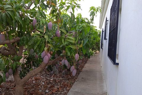 Villa a Cutar, Malaga, Cutar - € 262.000 | Ref: ID4400 - foto 9